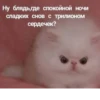 Стикеры 24