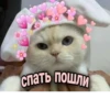 Стикеры 29