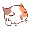 Cat Motions (by @taneffe) without text 6