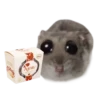 HAMSTER KOMBAT 9