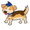 Cooper Puppyheart 11