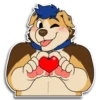 Cooper Puppyheart 12