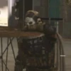 Cod cum 8