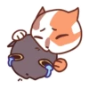 Cat Motions (by @taneffe) without text 13