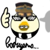 Chicken gun 5