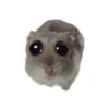 hamsters by Luvzhons 11