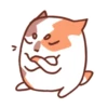 Cat Motions (by @taneffe) without text 23