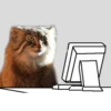 Manul 16