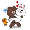Brown & Cony Mix 23