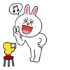Brown & Cony Mix 29