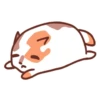 Cat Motions (by @taneffe) without text 30