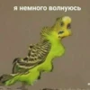 Стикеры ➡️ 12