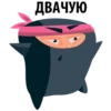 Black Ninja @stickersb2b 23