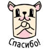 Спасибо!