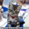 Я админ И я трахал подписчиц этого канала