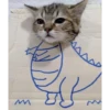 красивые котята 9