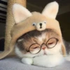 Cats by @offstikbot 6