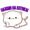 @chatt23 - НАШ ЧАТ 11
