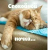 Animals :: @fStikBot 9