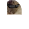 Cosmetic cringe 8