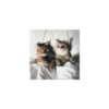 Cats from @Sosha_kitten1357 5