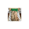 Cats from @Sosha_kitten1357 6