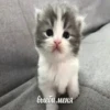 выеби меня