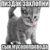 пиздак захлопНИ Сын мусоропровода