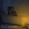 бОбік https://t.me/ua_anime_stikers 9