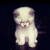 Cats by @offstikbot 9