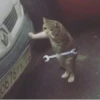 Crying Cat, @icarusfalls 10