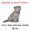 бОбік https://t.me/ua_anime_stikers 11