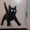 красивые котята 12