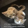 это мы показываем другим нашу любовь