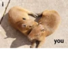 Больше стикеров: @capybarastiker 21