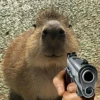 Больше стикеров: @capybarastiker 22