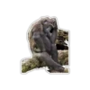 Cecki gorilla 16