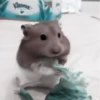 :; hamsters @xiroe 11