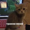 R 0 F трахни меня C V