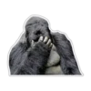 Cecki gorilla 17