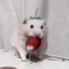 :; hamsters @xiroe 14