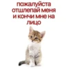пожалуйста отшлепай меня И КОНЧИ мне на лицо
