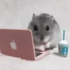 :; hamsters @xiroe 19