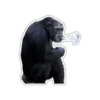 Cecki gorilla 20