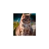 Cats from @Sosha_kitten1357 18