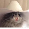 Crying Cat, @icarusfalls 18