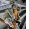 Animals :: @fStikBot 23