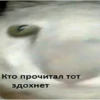 Кто прочитал тот здохнет