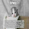 ПРИВЕТ! скоро я насильно привяжу тебя к батарее и буду пытать до тех пор, пока ты не умрёшь от моей немного стеснительной любви