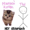 Милый котик ты НЕТ ОТЛИЧИЙ
